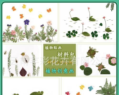 植物贴画怎么做？有哪些创意技巧？