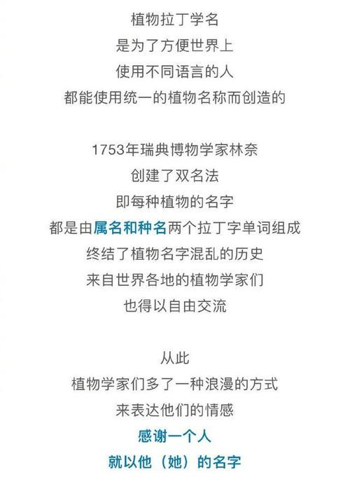植物的名字有哪些有趣的事实？