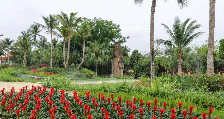 湛江适合种植哪些花卉品种？它们的生长条件是什么？
