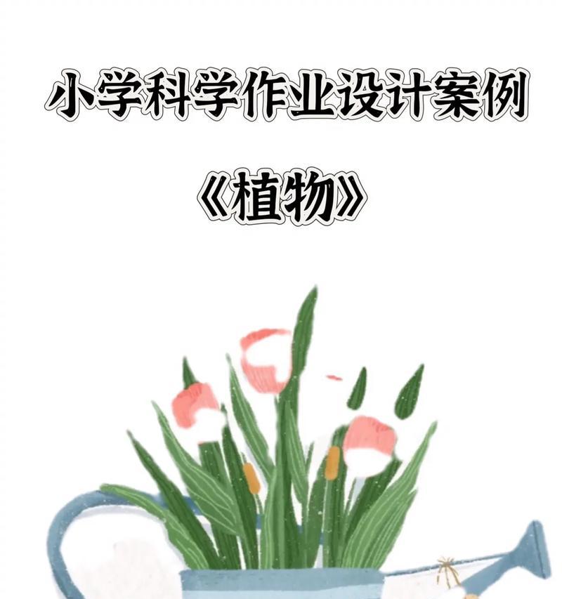 植物的用途有哪些？它们在日常生活中的应用是什么？