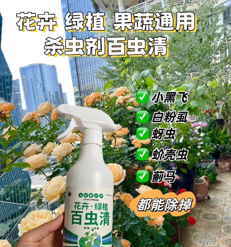 夏天花卉杀虫需要注意什么？有哪些事项必须遵守？