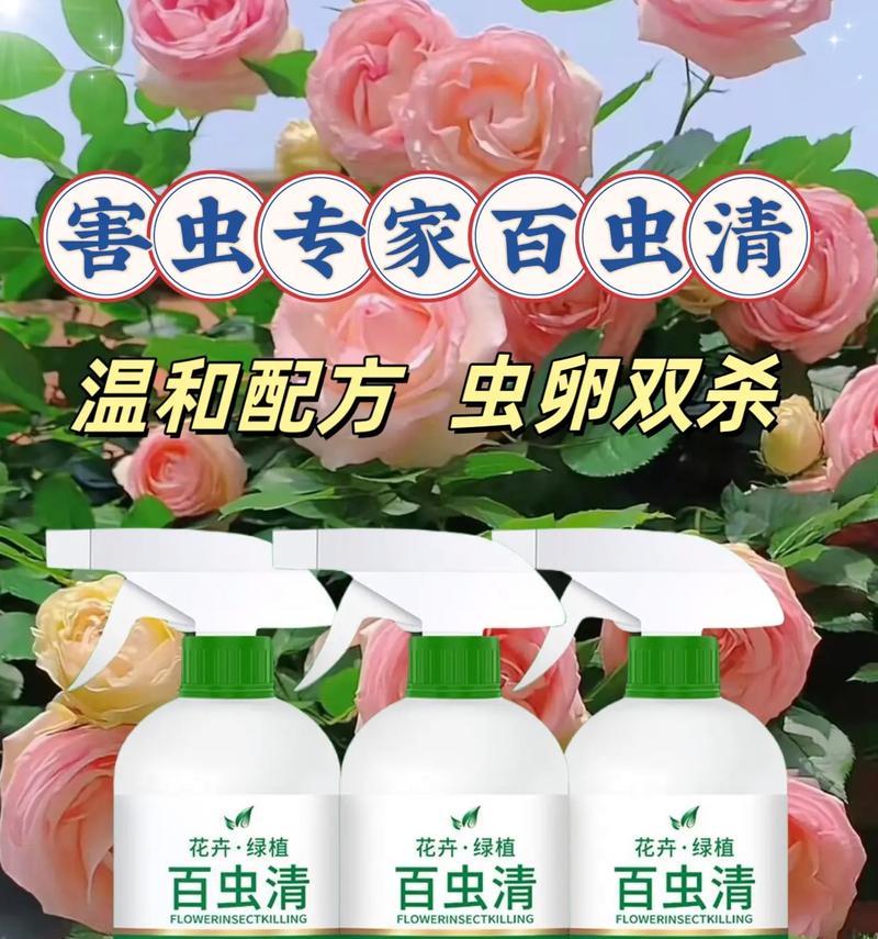 夏天花卉杀虫需要注意什么？有哪些事项必须遵守？