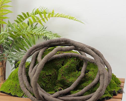 藤蔓植物造景选择有哪些技巧？