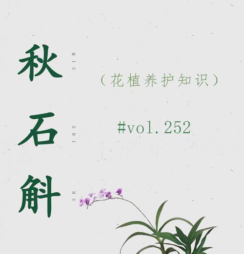 石斛植物室外养护方法是什么？如何确保石斛室外生长良好？