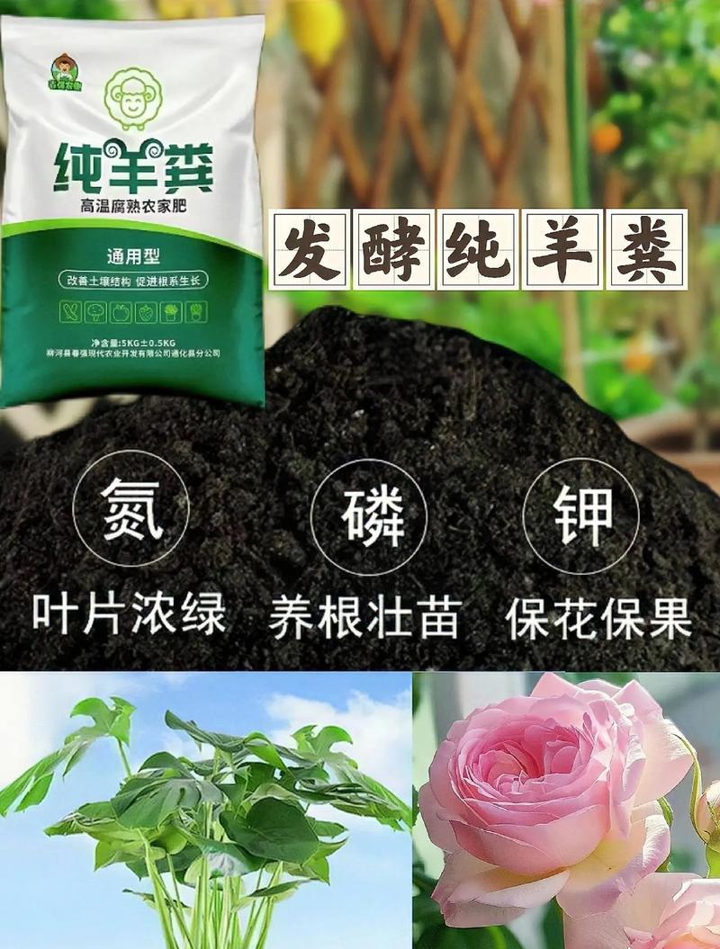 茶叶肥适合哪些植物使用？使用茶叶肥有哪些注意事项？