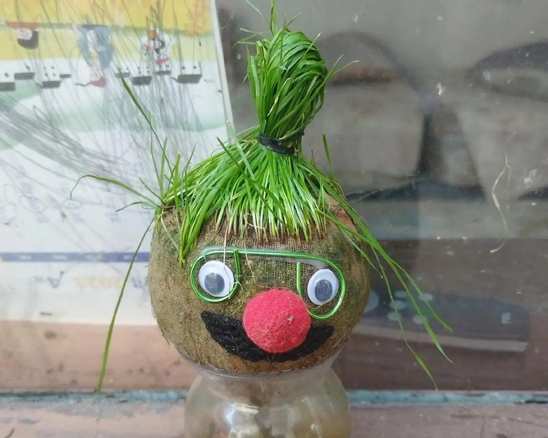 如何自制水培植物？