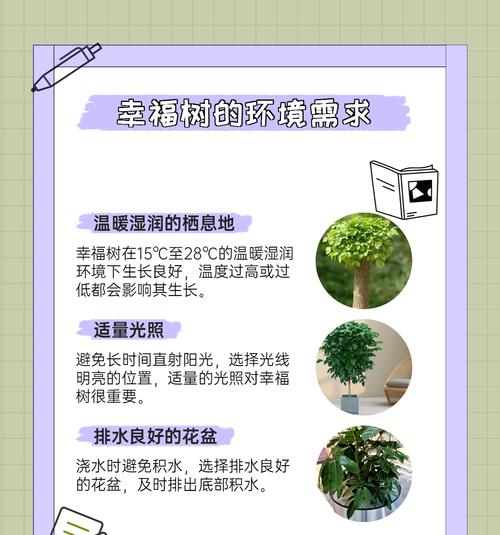哪些植物具有光泽？光泽植物的养护要点是什么？