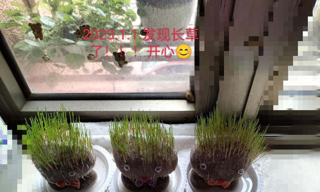 草娃娃植物书写技巧有哪些？