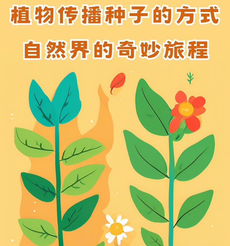 植物的传播方式有哪些？