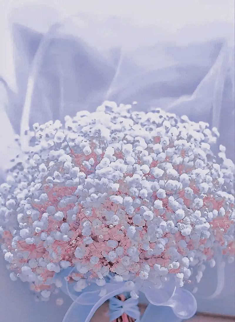 满天星代表的花语是什么？