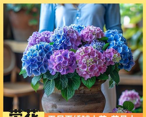 小苗夏花的花语是什么？夏季花卉有哪些特别的含义？