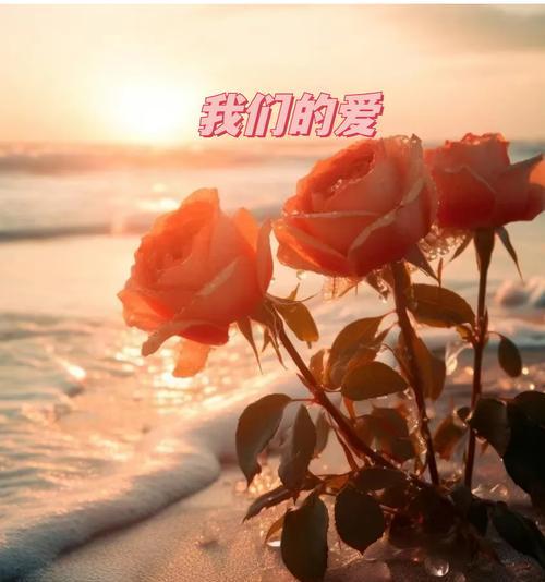带花小玫瑰代表什么情感？