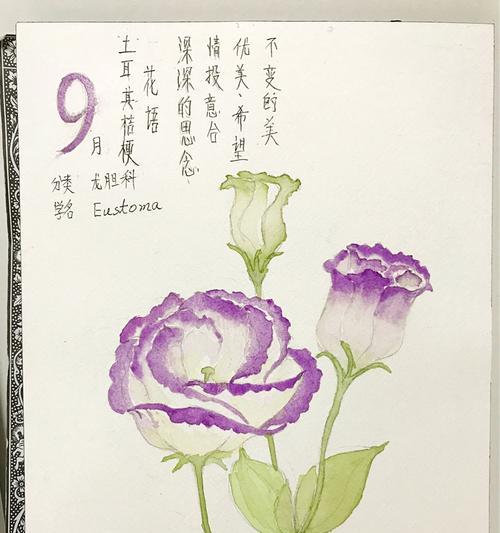 花语情投意合的爱是什么？哪种花象征着默契与和谐？