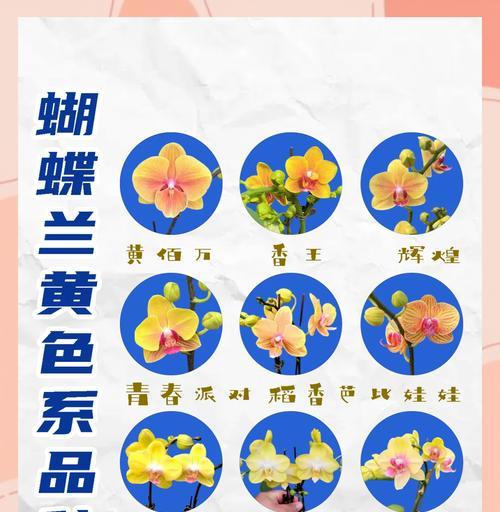 想挽留某人时应该送什么花？它们的花语是什么？
