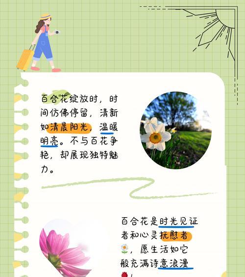 全百合的花语是什么意思？它们代表了哪些寓意？