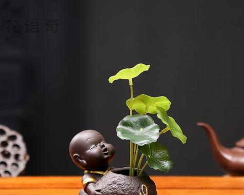 和尚花的花语有何深意？