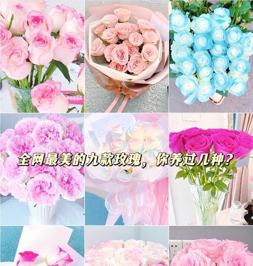 玫瑰花语中二十一种代表什么？