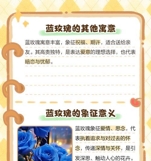 蓝玫瑰一支代表什么？蓝玫瑰的独特花语是什么？