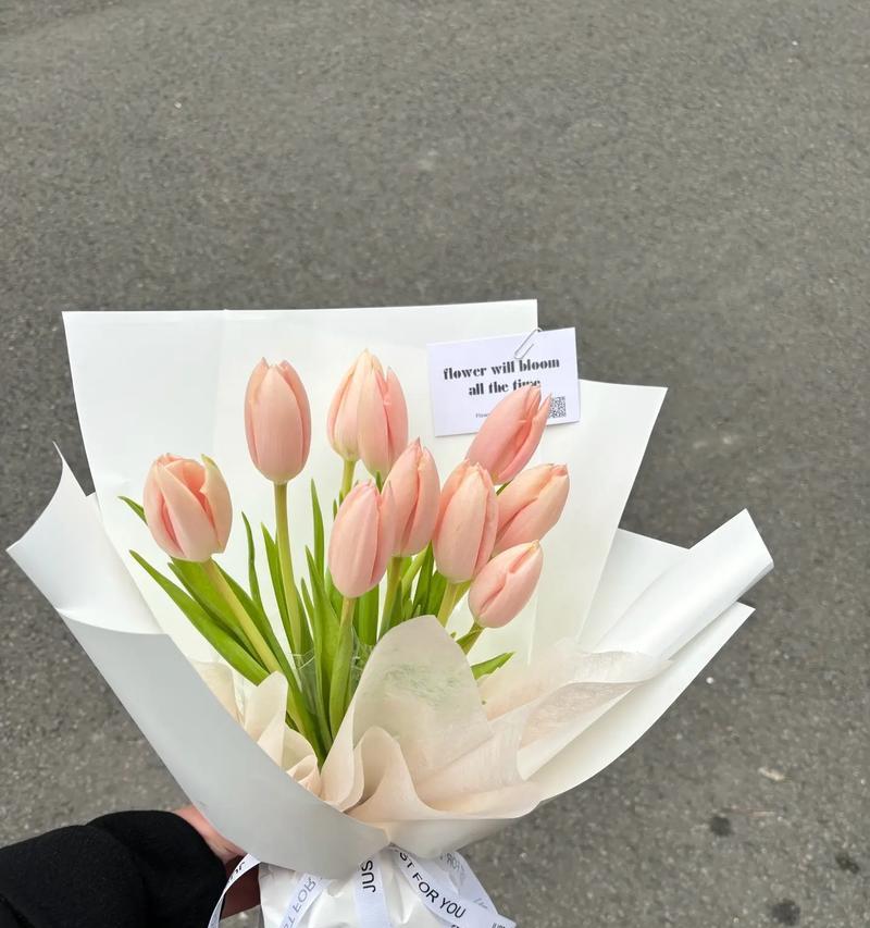 水蜜桃郁金香代表什么？郁金香的花语有哪些？