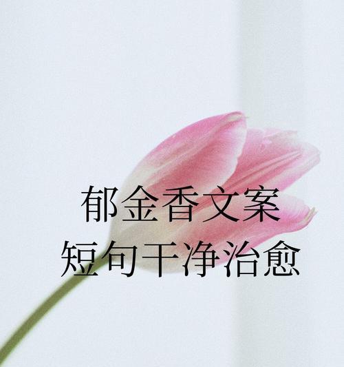 水蜜桃郁金香代表什么？郁金香的花语有哪些？