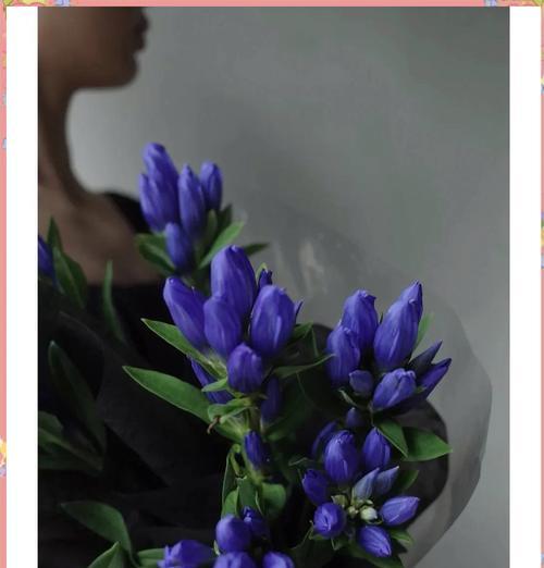 枯萎的花代表什么？花语有何深层含义？