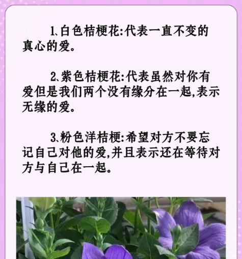 枯萎的花代表什么？花语有何深层含义？