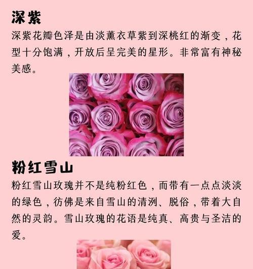 送你一束花花语是什么？一束花的花语有哪些？