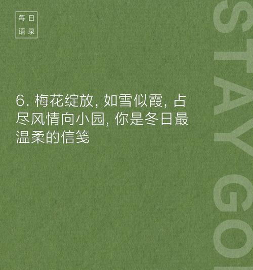 梅花的花语有哪些独特之处？