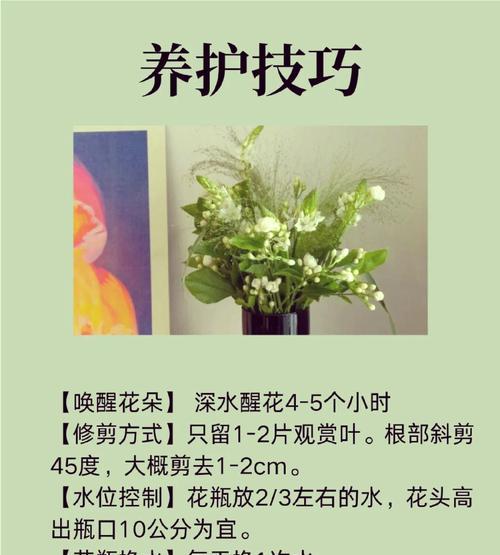 爱意花语有哪些含义？