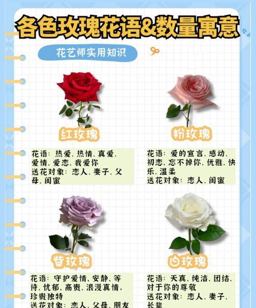 外套里的玫瑰花语有何特别之处？这个花语代表了什么？