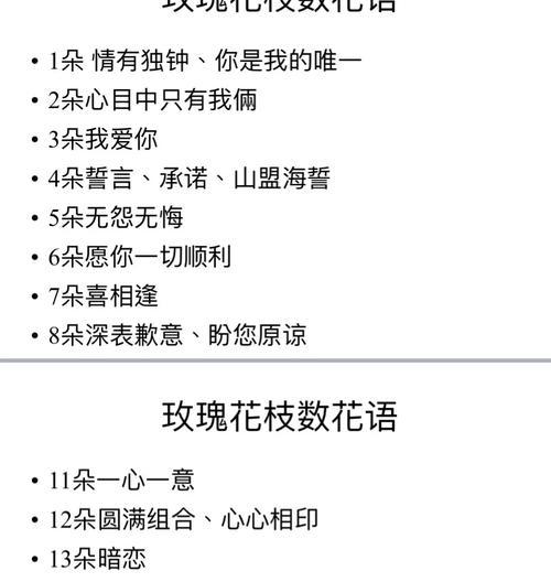 9朵玫瑰花的招财花语是什么意思？