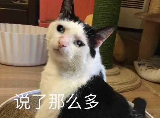 搞笑自损花语是什么呢表情包？这种表情包有何特别含义？
