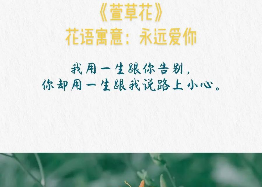 喜得宝宝的花语有何意义？