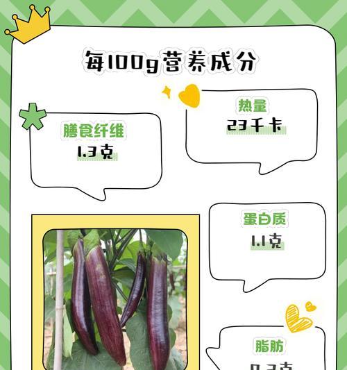 滨茄子的花语代表什么？送人有何寓意？