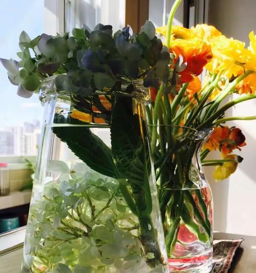 美梦相关的花语有哪些？