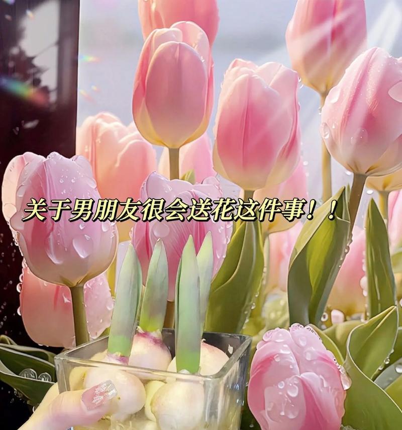 带郁金香的花语有何寓意？它象征着什么？