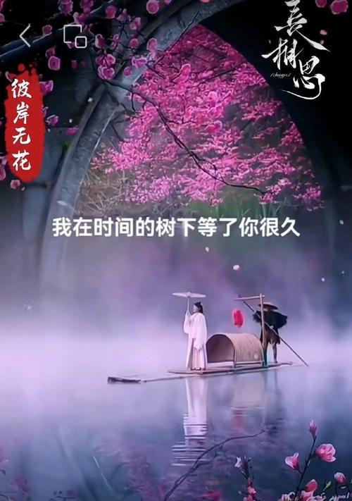 相遇是流年的花语代表什么？
