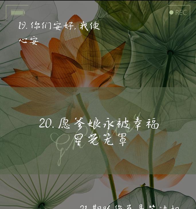 花语“无病无灾”是什么意思？它象征着什么？