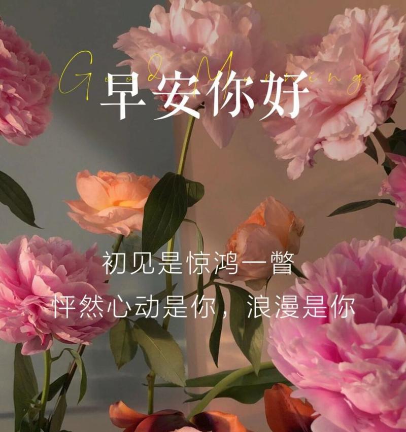 哪种花的花语寓意乐观？它传递了怎样的正能量？