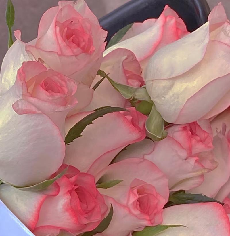 哪种花的花语比玫瑰更充满爱意？