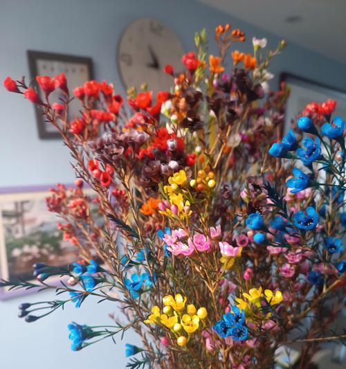 蜡梅的花语有何含义？它象征着什么？