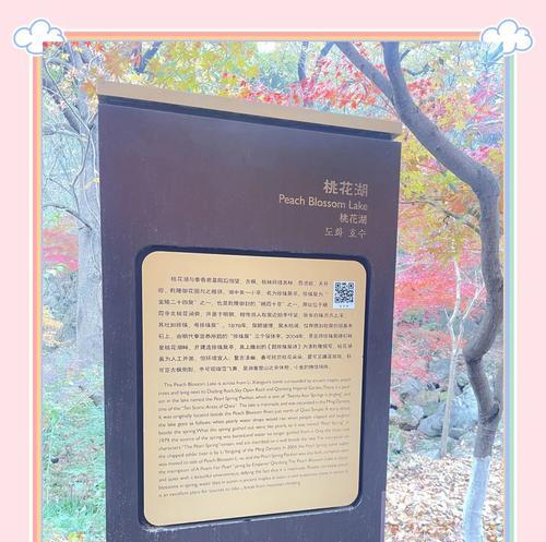 槭树的花语和象征是什么？槭树代表了哪种情感？