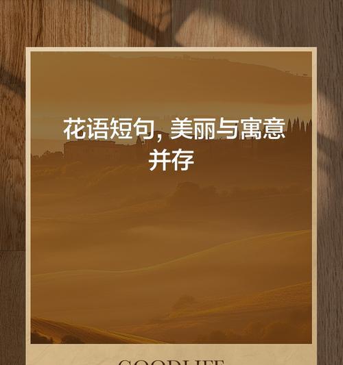 期待你的到来用什么花语表达？哪种花语最能传达期待？