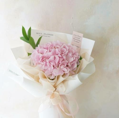 法师伴侣的花语是什么？法师伴侣的花语含义是什么？