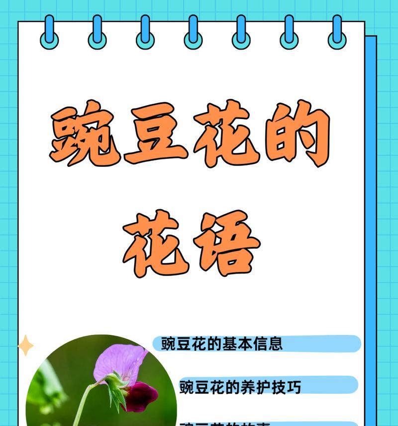 各种花语及其别称有哪些？