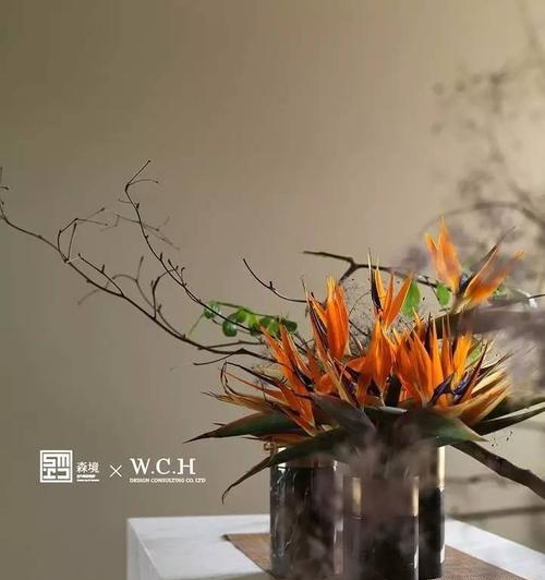 适合黛玉的清雅的花语是什么？这种花语在文化中扮演了什么角色？