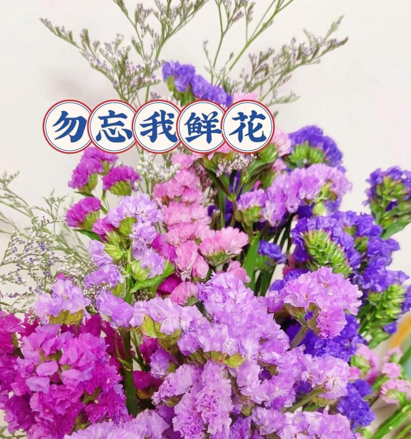 闺蜜之间花语的含义是什么？