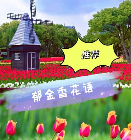 郁金香的花语有哪些不同的解释？