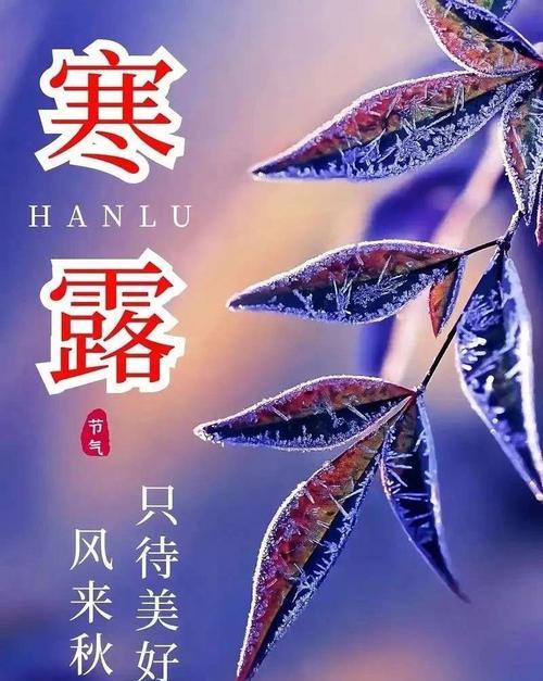 美好花语的含义是什么？