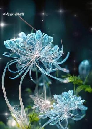 哪朵花的花语最为凄美？史上花语最凄美的花代表什么？